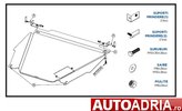 SCUT MOTOR